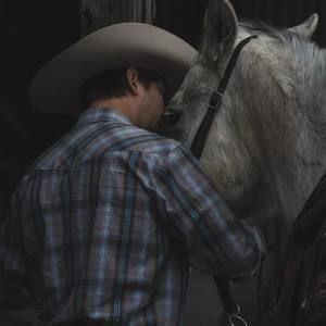 Meet your Posher, Dalion